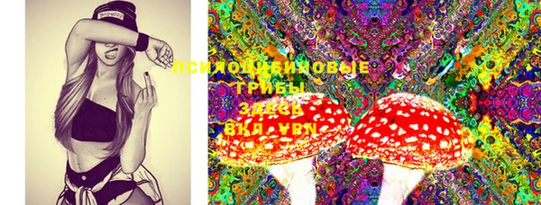 прущие крисы Кукмор