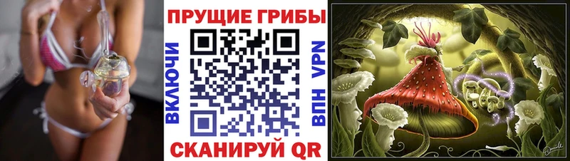 Псилоцибиновые грибы прущие грибы  хочу наркоту  Хасавюрт 